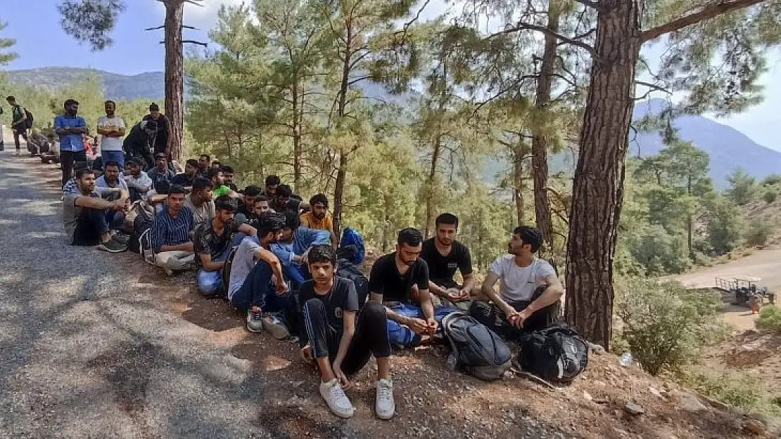 Seydikemer'de ormanlık alanda 89 düzensiz göçmen yakalandı