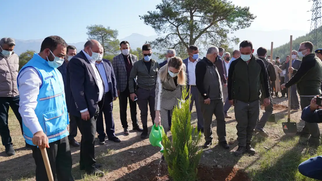 Seydikemer'de yeşil bir gelecek için fidanlar toprakla buluştu