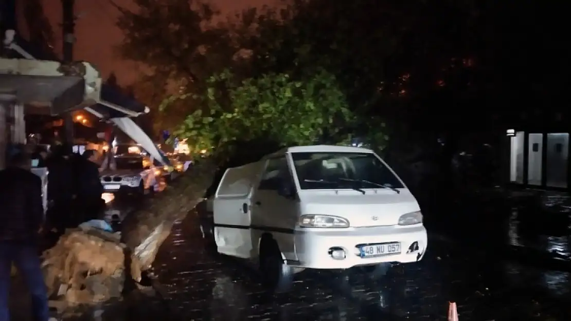 Seyir halindeki aracın üstüne ağaç devrildi