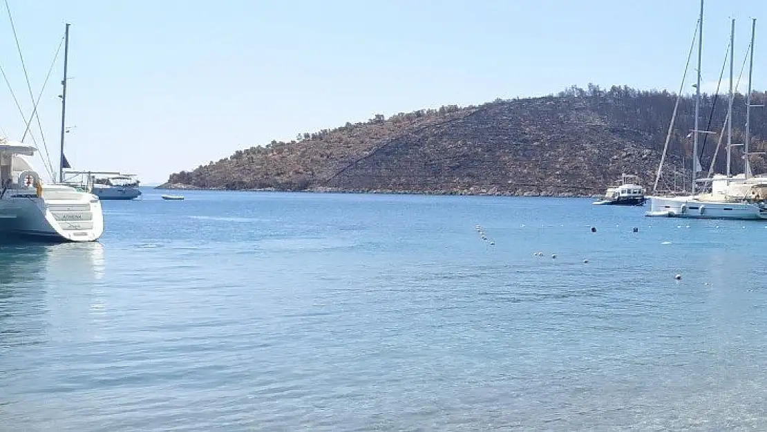 Şimdi Bodrum zamanı!