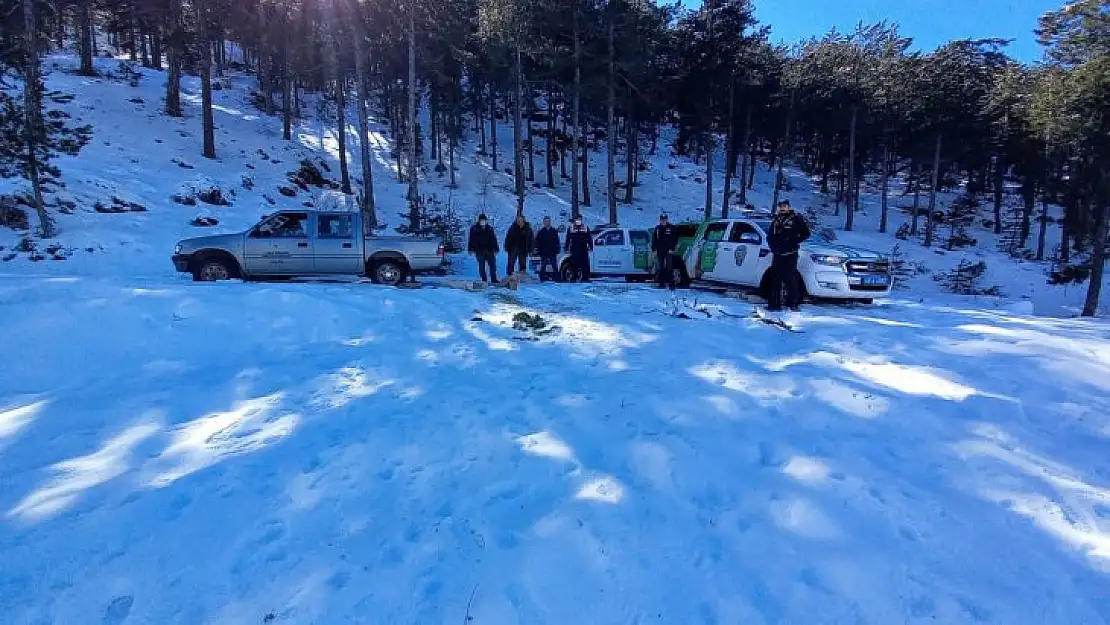 Sokak hayvanları için yemleme çalışması