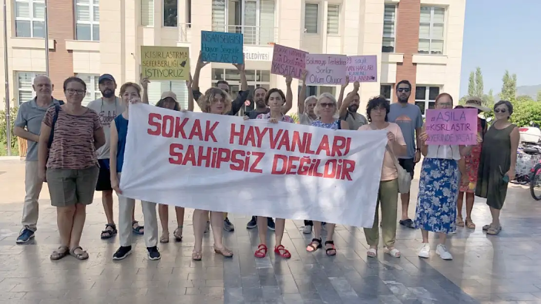 Sokak Hayvanları İçin Yürüdüler