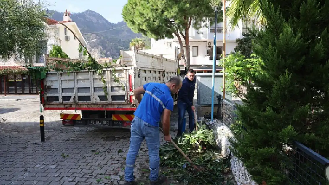 Turunç köşe bucak temizlendi