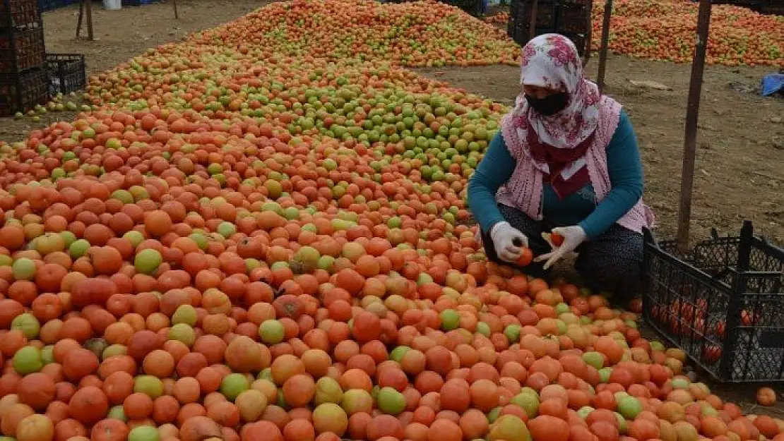 Üretici 'Girdilerdeki ÖTV kaldırılsın'