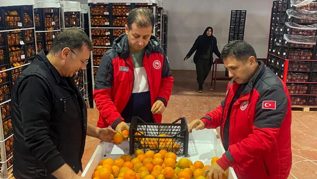 Ürünlere Bitki Sağlık Sertifikası verildi