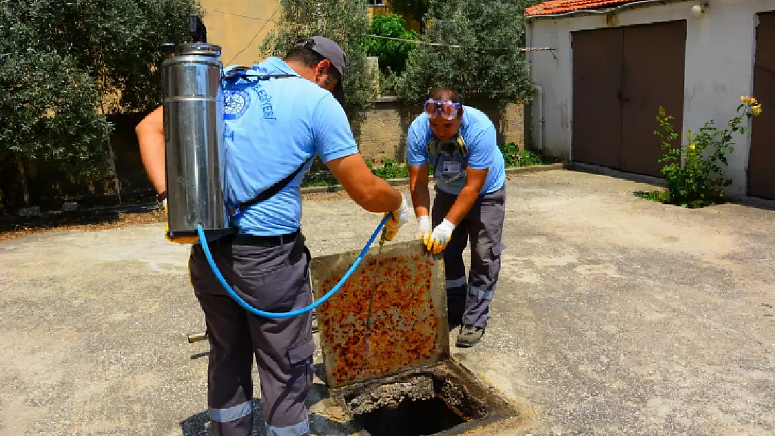 Vektörle Mücadelede Tüm Birimleri ile Sahada