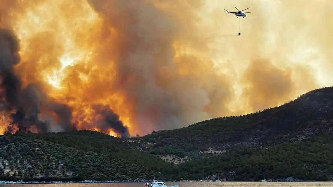 Yangınların sosyo-ekonomik etkileri projesi WWF raporunda