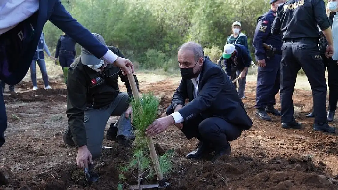 Yeşil Ortaca İçin Fidan Diktiler