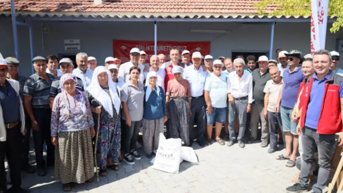 Zeytin Üreticilerine Kaolin Kili Ücretsiz Dağıtılıyor