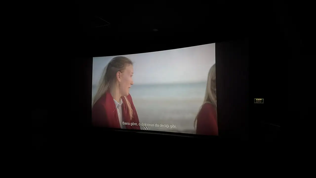 Fethiye Uluslararası Film Festivali'nde Amerikan yapımı filmler de var