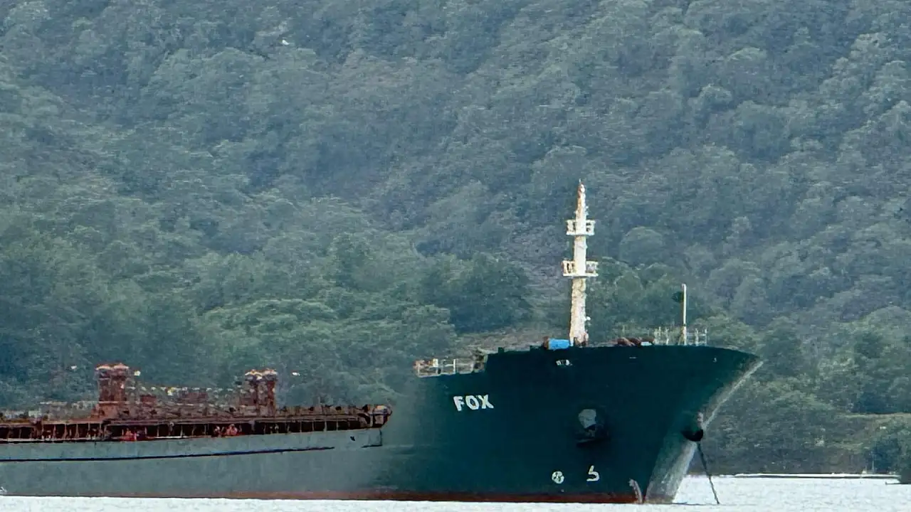 Barbados bayraklı yük gemisi 'Fox' Fethiye Körfezi'ne demirledi
