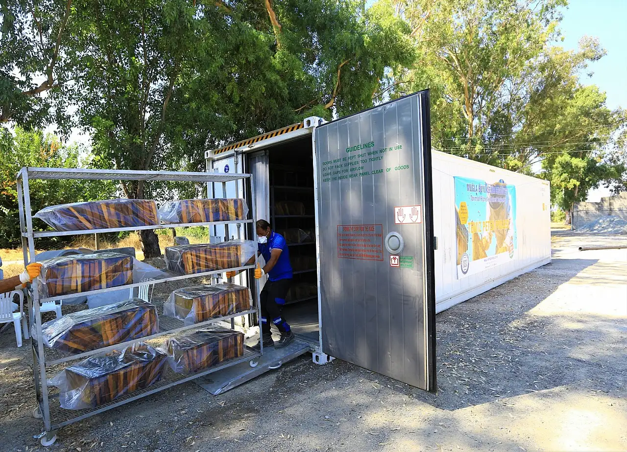 Büyükşehrin Türkiye'de İlk Olan Temiz Petek Projesi Başladı