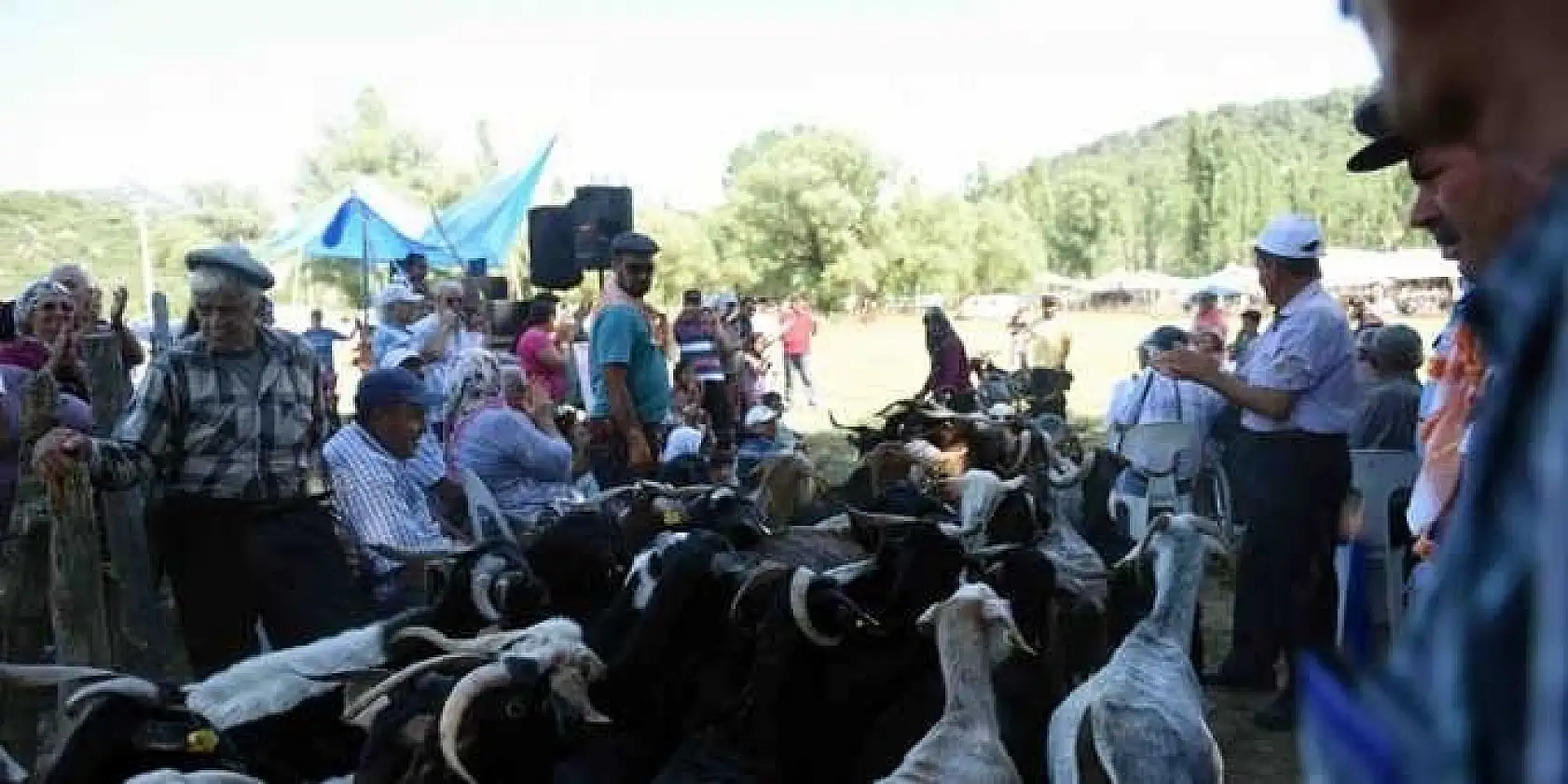 17. NİF KİRAZ FESTİVALİ RENKLİ GÖRÜNTÜLERE SAHNE OLDU