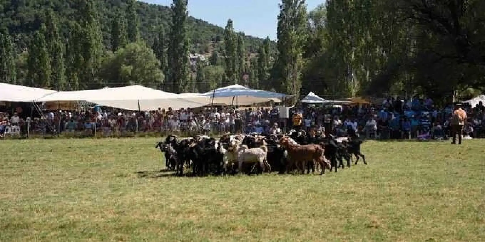17. NİF KİRAZ FESTİVALİ RENKLİ GÖRÜNTÜLERE SAHNE OLDU