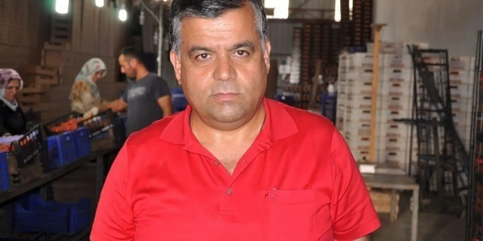 DOMATES ÜRETİCİLERİ