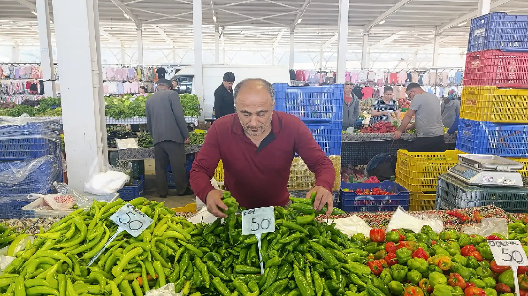 Ayat: 'Sebzelerdeki fiyatlar bu yıl uygun olur'