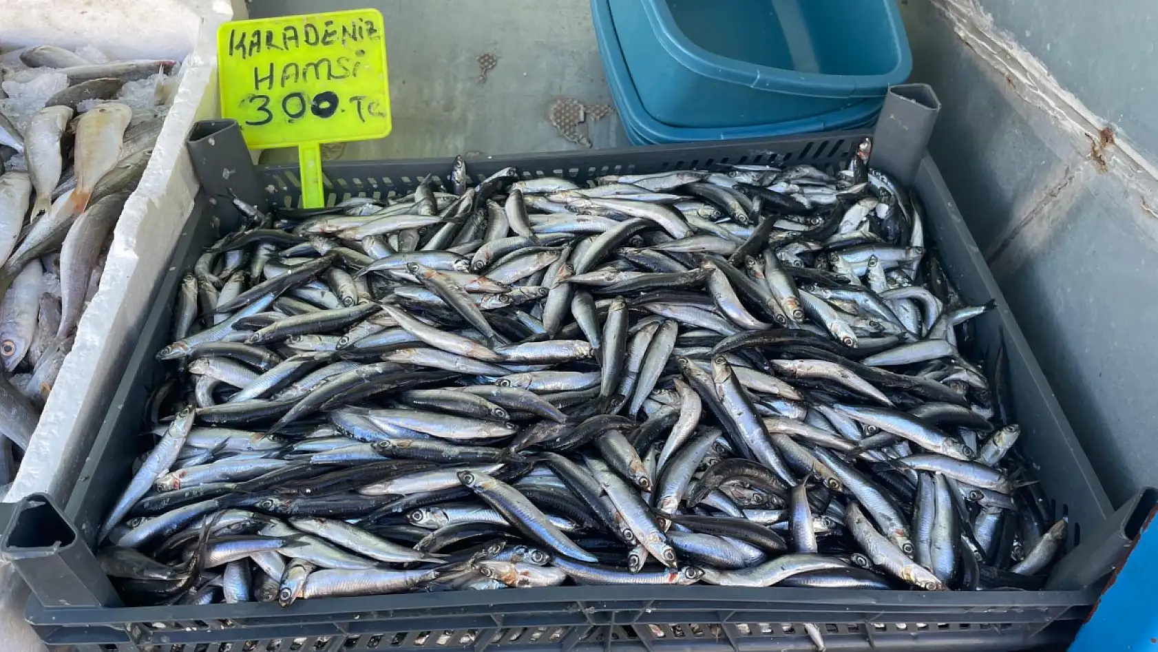 Fethiye Patlangıç Pazarı'nda taze balık keyfi