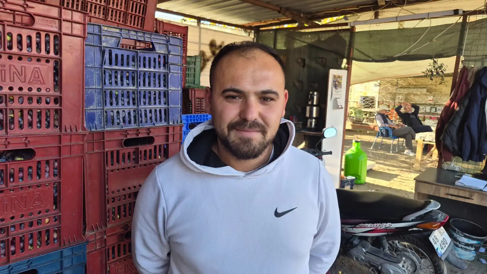 Fethiye'de zeytin alımı sezonu sona yaklaşıyor