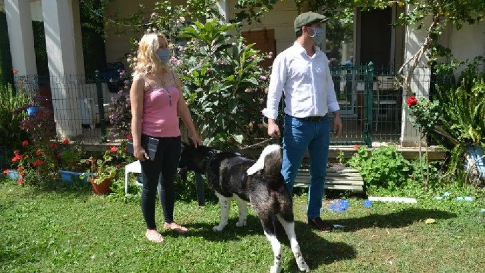 Akita cinsi Şensi isimli köpeğin sahibi konuştu