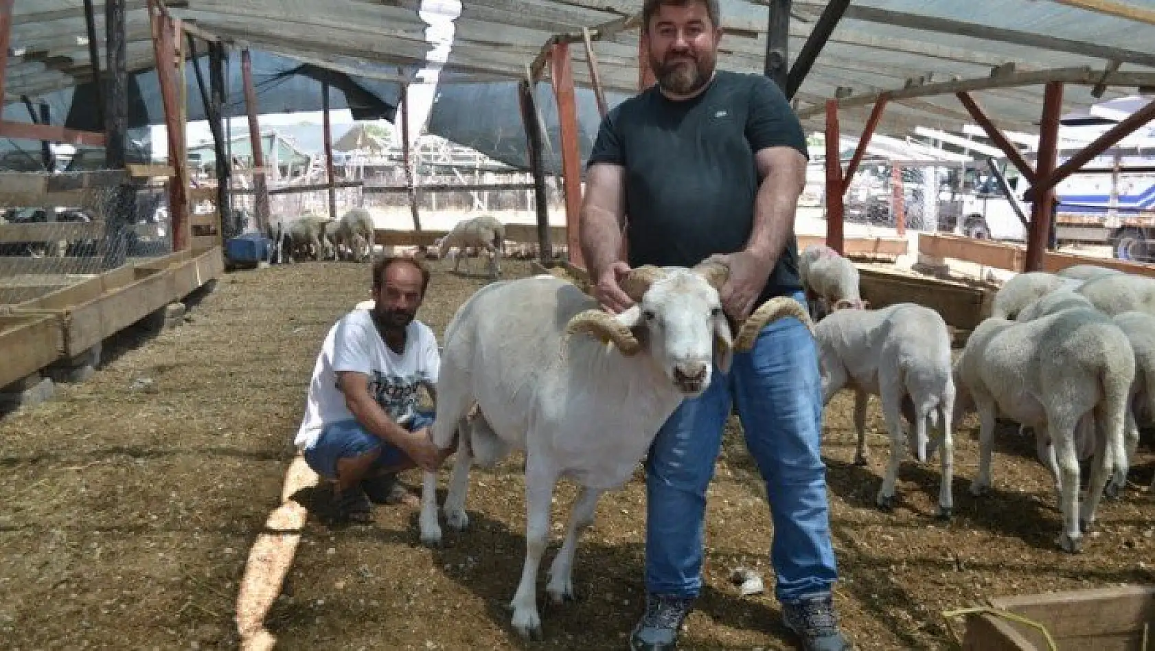 Çarıklı Kasap hayvan pazarında yerini aldı