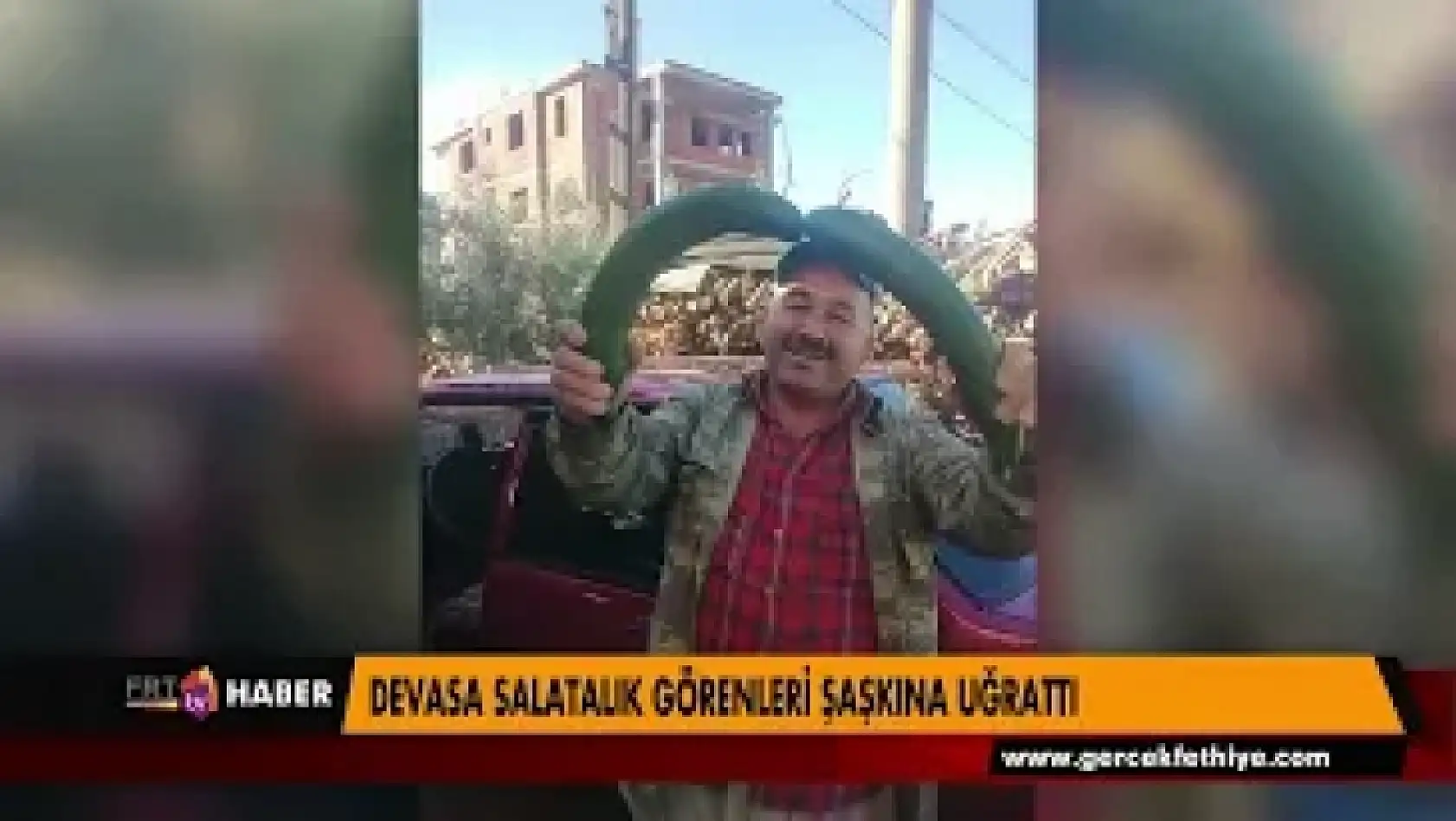 DEVASA SALATALIK GÖRENLERİ ŞAŞKINA UĞRATTI