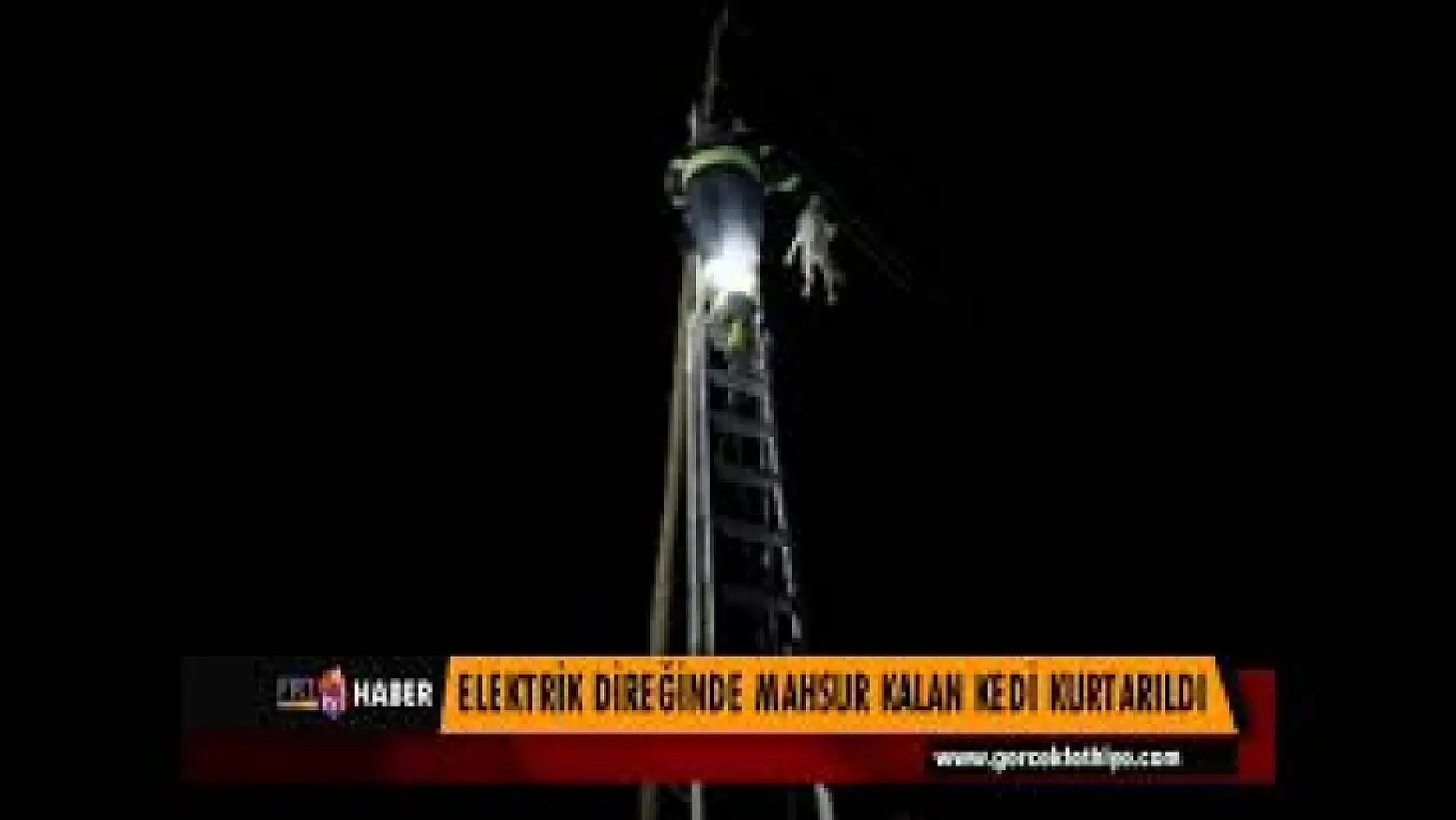 ELEKTRİK DİREĞİNDE MAHSUR KALAN KEDİ KURTARILDI