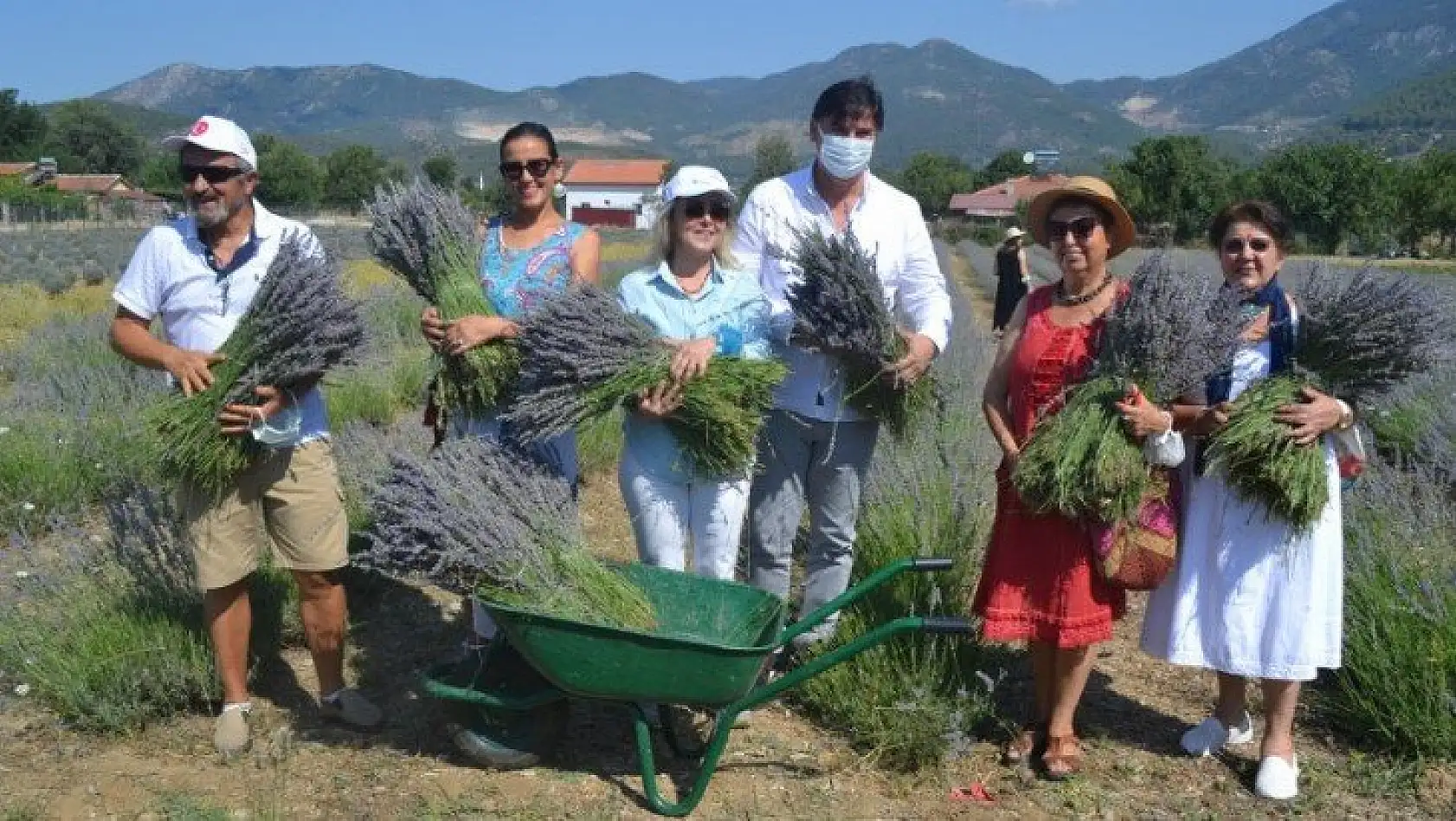 Fethiye'nin Koku Vadisi'nde ilk hasat