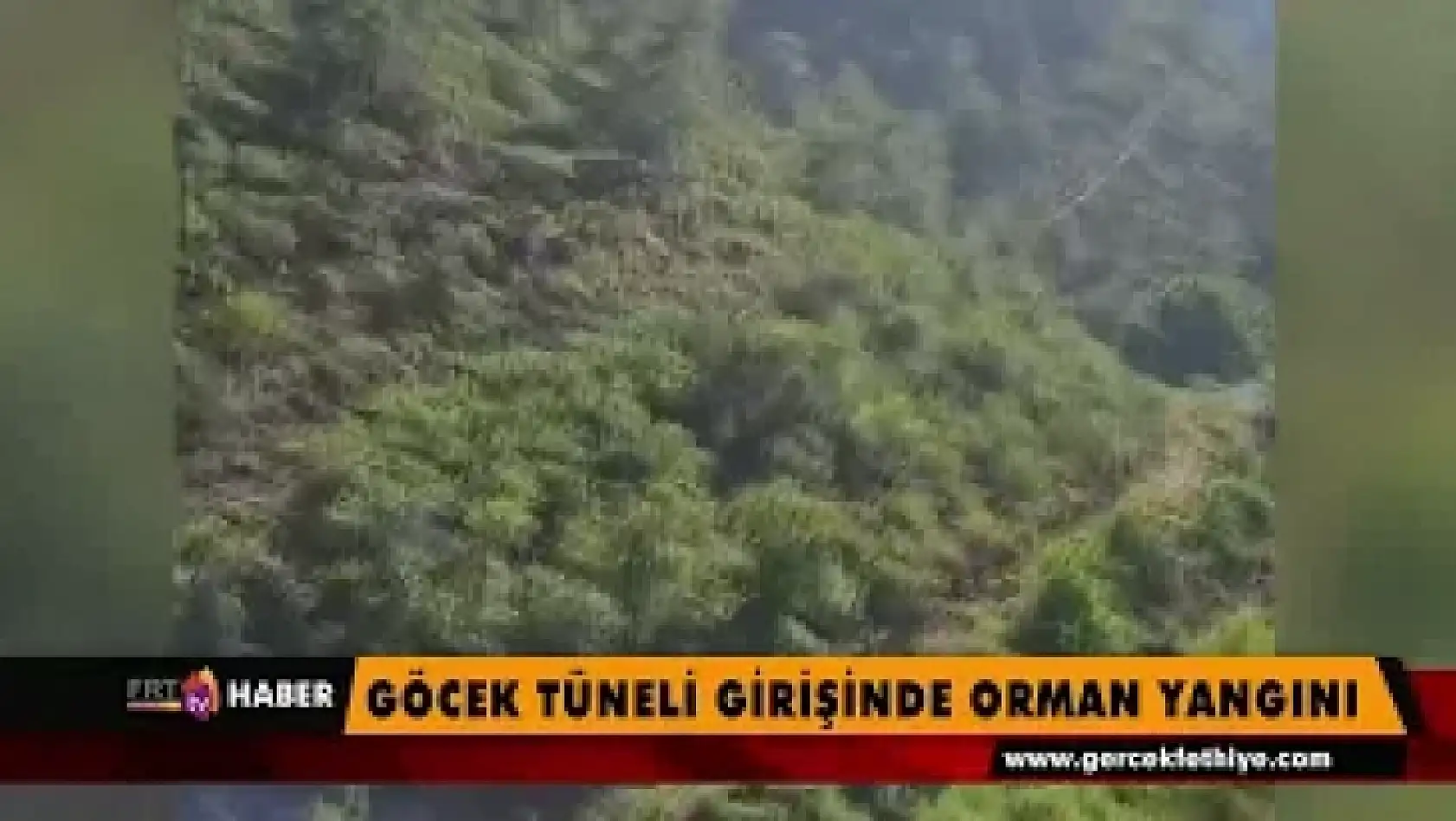 Göcek'te Orman Yangını