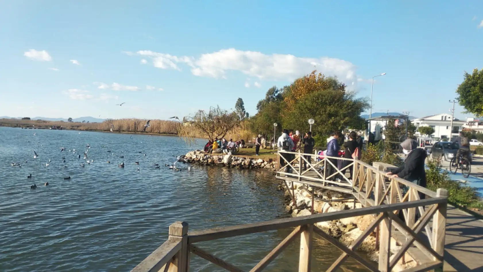 Güzel hava ördeklere yaradı