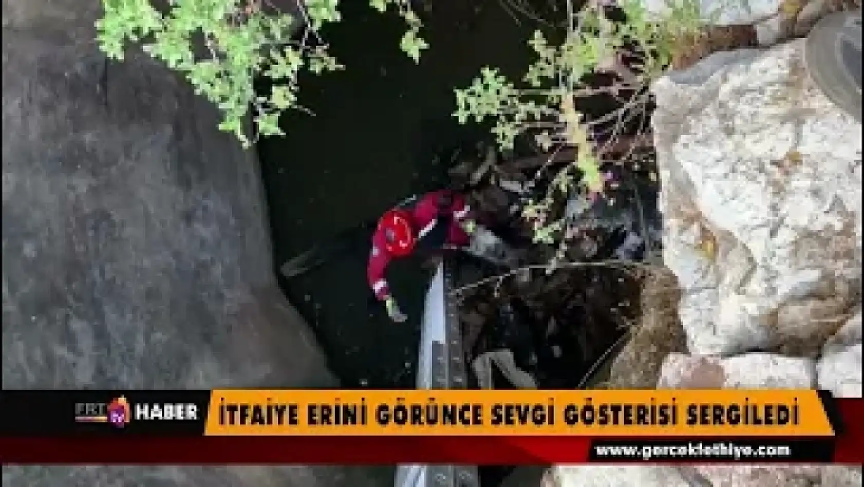 Kurtarmaya gelen itfaiye erini görünce sevgi gösterisi sergiledi