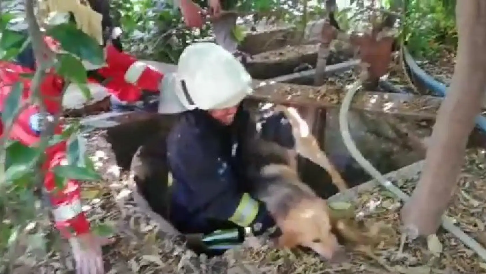 Kuyuya düşen köpek kurtarıldı