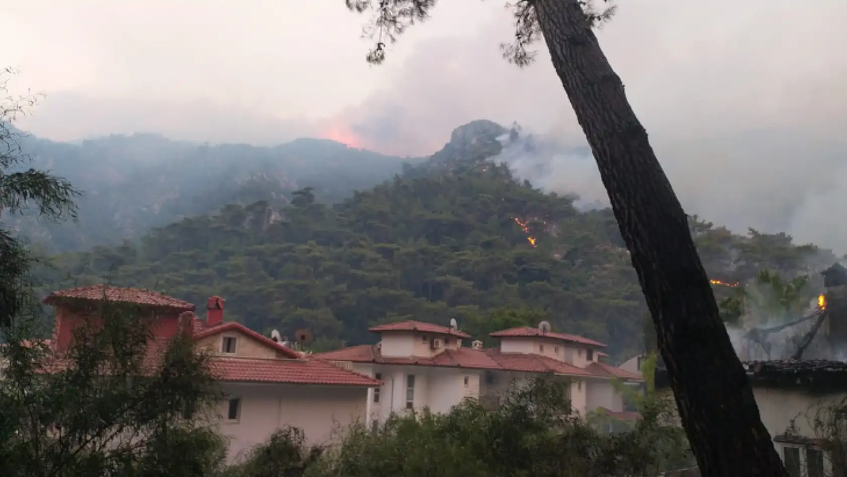 Marmaris Belediyesi yangına karşı seferber oldu