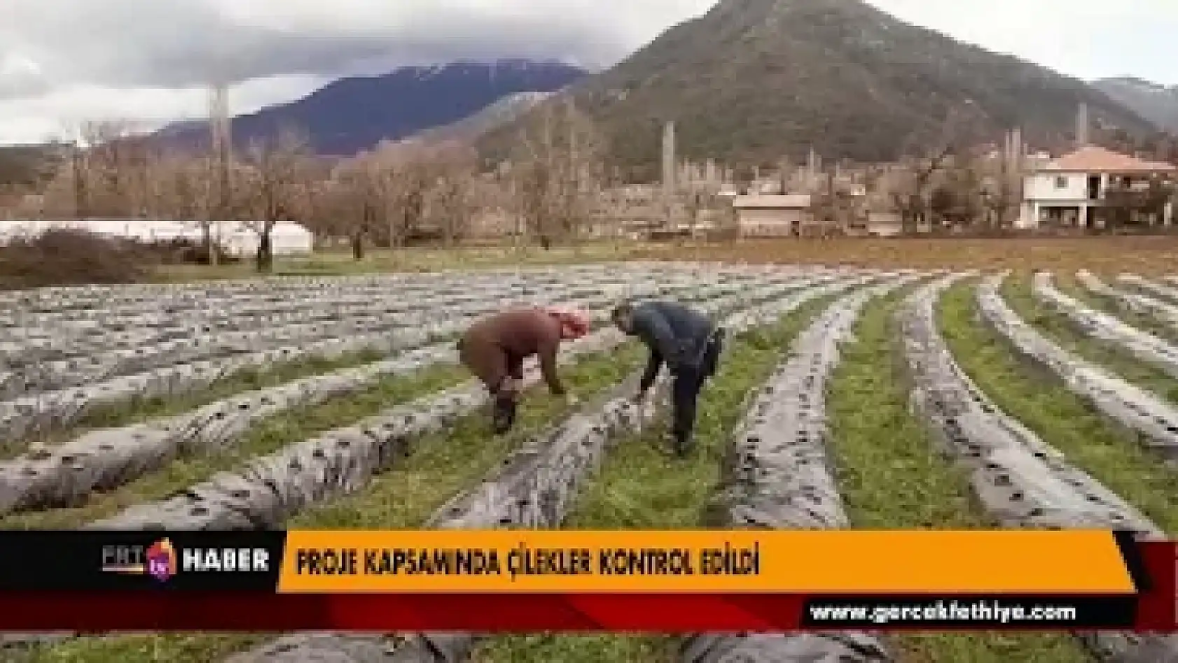 PROJE KAPSAMINDA ÇİLEKLER KONTROL EDİLDİ