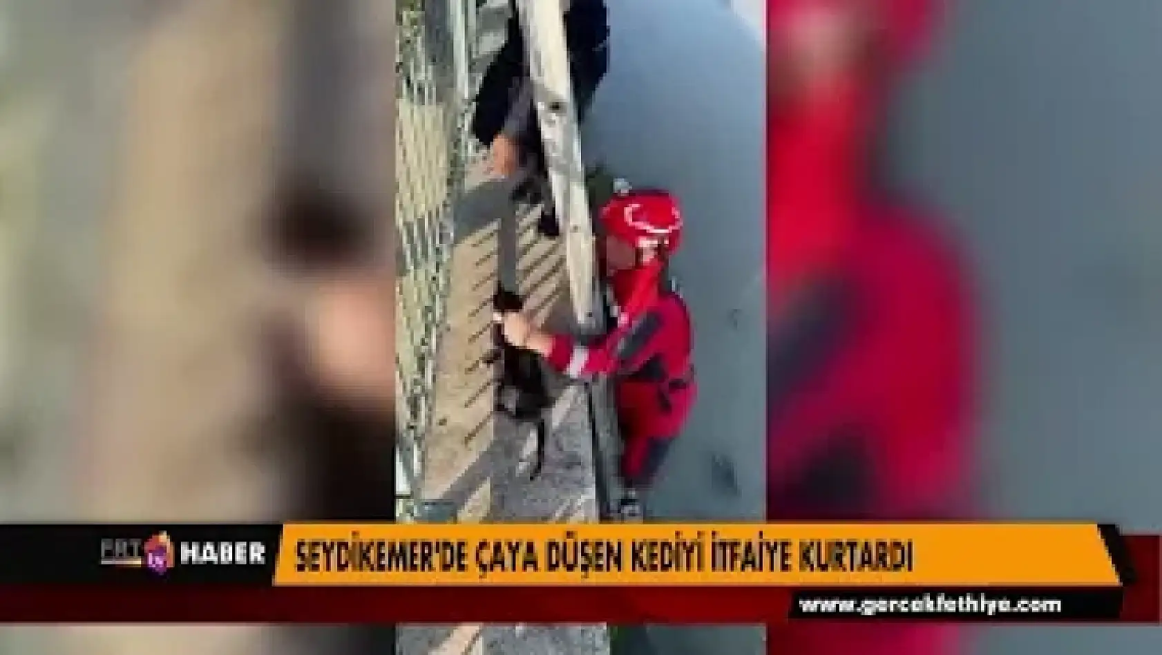 SEYDİKEMER'DE ÇAYA DÜŞEN KEDİYİ İTFAİYE KURTARDI