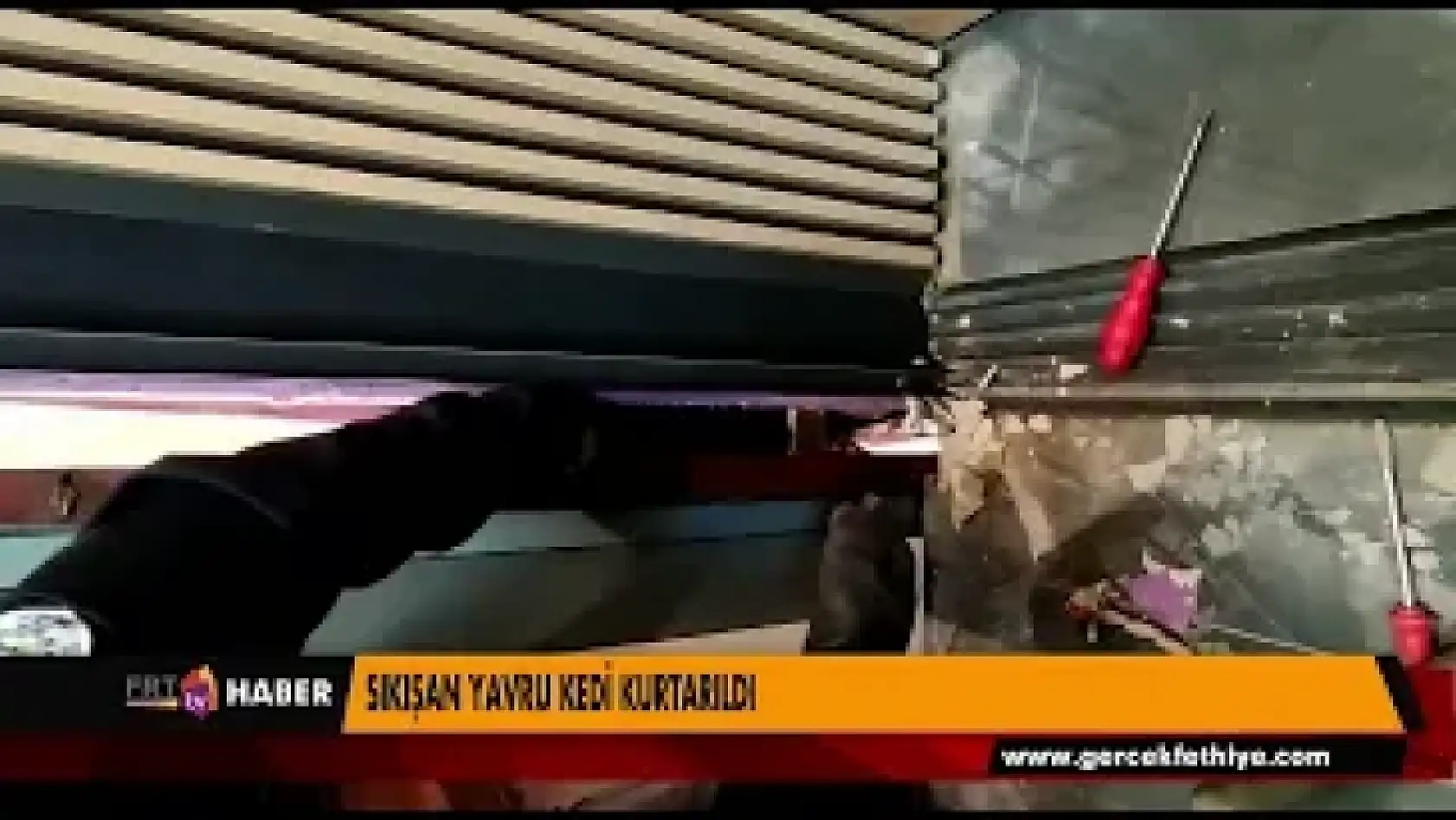 SIKIŞAN YAVRU KEDİ KURTARILDI