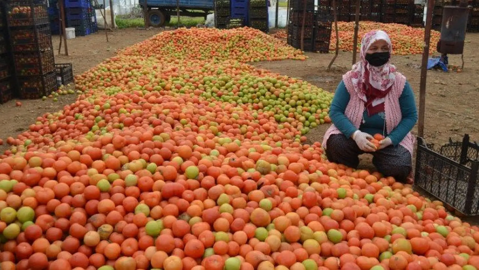 Üretici 'Girdilerdeki ÖTV kaldırılsın'