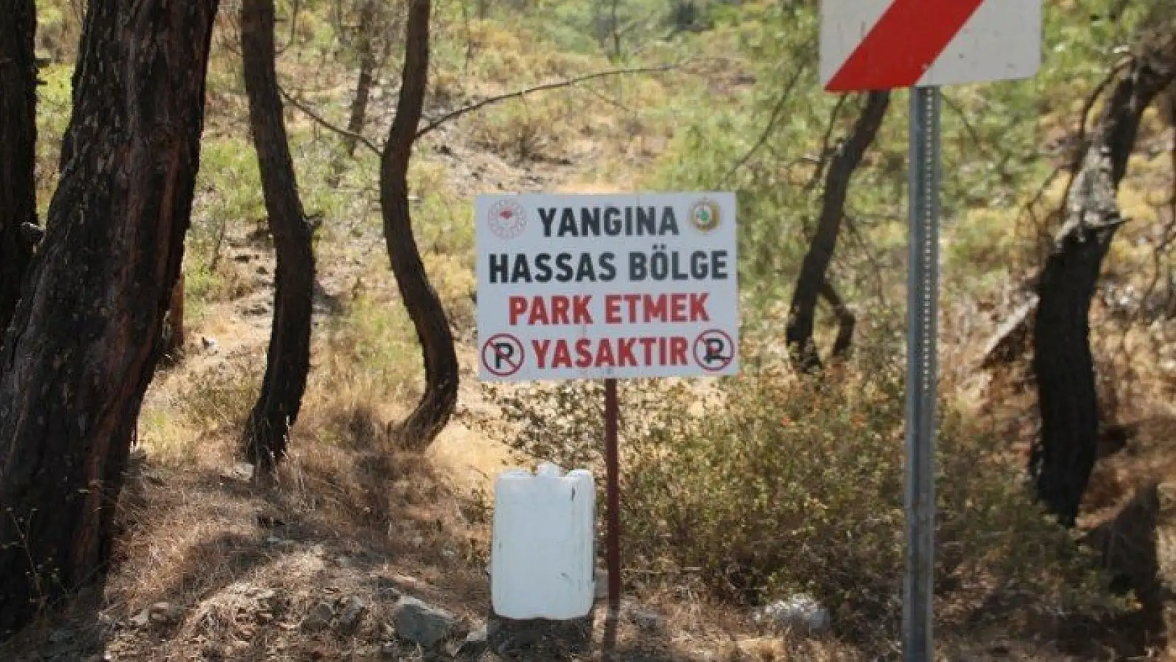 Yarımadada gereken tüm önlemler alındı