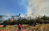 Muğla Menteşe'de orman yangını!