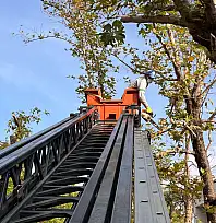 Fethiye Belediyesi Ağaç Budama Çalışmalarına Başladı