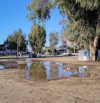 Fethiye Çalış'ta düzensiz karavan parkına zabıta müdahalesi sürüyor