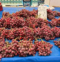 Fethiye Cuma Pazarı'nda meyve ve sebze fiyatları