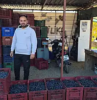 Fethiye'de zeytin alımı sezonu sona yaklaşıyor