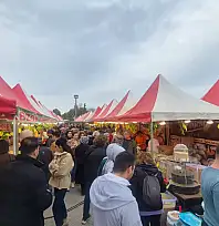 Fethiye Hamsi Festivali'nde 'Karadeniz Lezzetlerine' ilgi yoğun