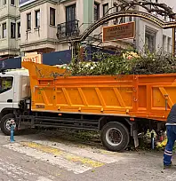 Paspatur'da ağaçlarda budama çalışması