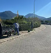 Şehit Fethi Bey Parkı'nda peyzaj ve park düzenlemesi