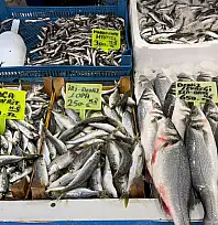 Tezgahlardaki balık fiyatları vatandaşın cebini zorladı