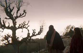 'Balinanın Bilgisi' Fethiye'de 13 Şubat'ta gösterime giriyor