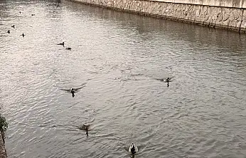 Fethiye'de kanalda renkli görüntüler