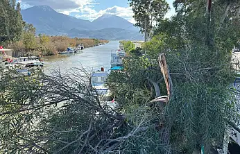 Fırtına etkili oldu: Çalış'ta tabelalar uçtu, ağaçlar kırıldı