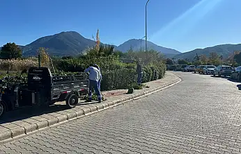 Şehit Fethi Bey Parkı'nda peyzaj ve park düzenlemesi